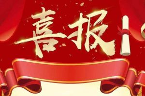 关于2022年度人力资源服务评选结果的通报，祝贺九游体育集团