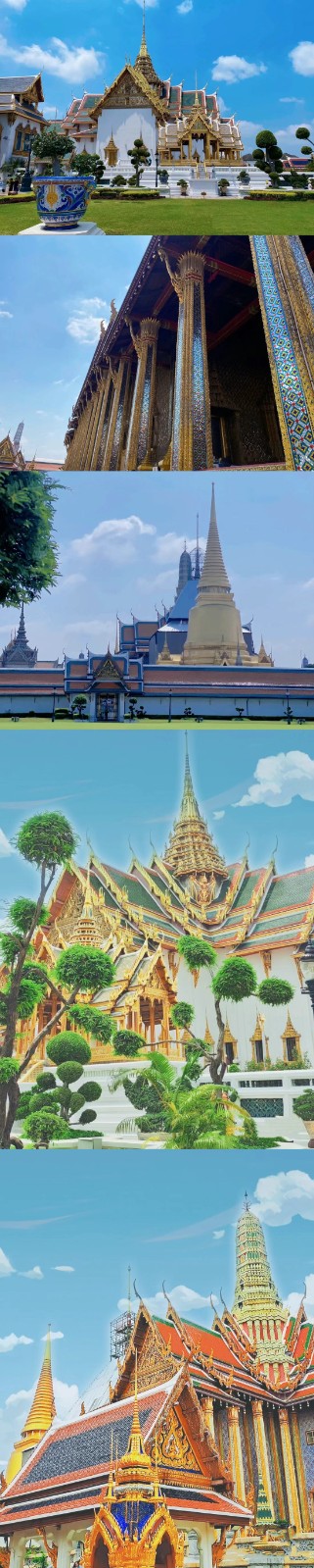 九游体育集团