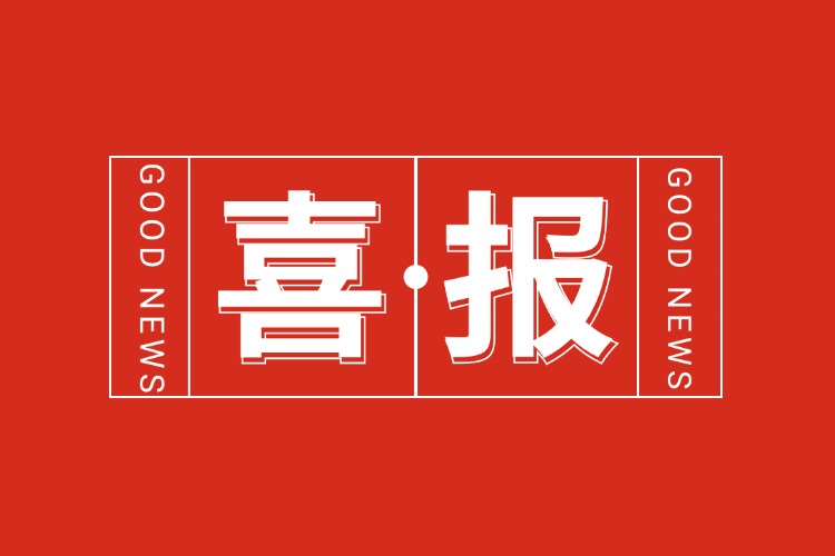 喜报！九游体育集团旗下子公司获人力资源服务机构能力指数5A等级