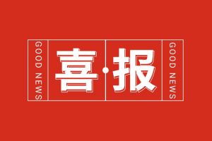 喜报！九游体育集团党支部书记、总裁陈文舒荣登“2024人力资源服